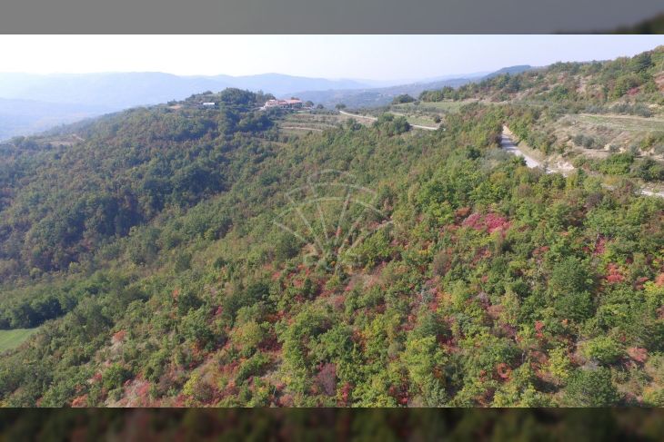 Poljoprivredno zemljište, Prodaja, Cerovlje, Draguć Poljoprivredno zemljište, Prodaja, Cerovlje, Draguć