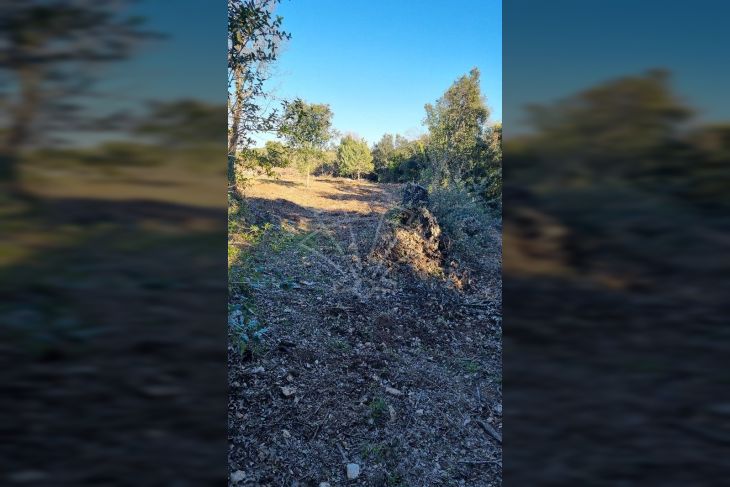 Poljoprivredno zemljište, Prodaja, Marčana, Kavran Poljoprivredno zemljište, Prodaja, Marčana, Kavran