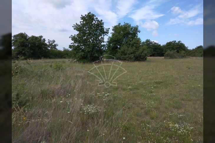 Poljoprivredno zemljište, Prodaja, Svetvinčenat, Štokovci