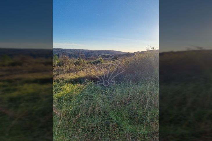 Građevinsko zemljište, Prodaja, Barban, Puntera