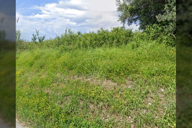 Građevinsko stambeno zemljište, Prodaja, Buje, Buje Građevinsko stambeno zemljište, Prodaja, Buje, Buje