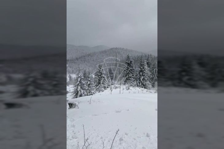 Građevinsko zemljište, Prodaja, Ravna gora, Stari Laz Građevinsko zemljište, Prodaja, Ravna gora, Stari Laz