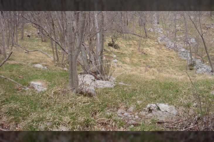 Poljoprivredno zemljište, Prodaja, Jelenje, Podhum