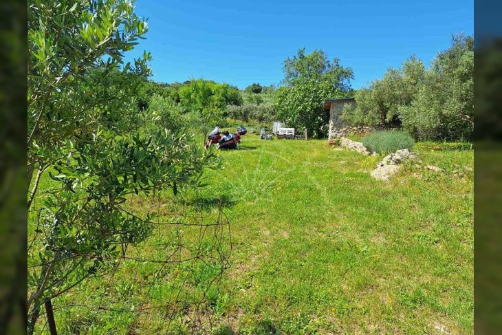 Poljoprivredno zemljište, Prodaja, Krk, Krk Poljoprivredno zemljište, Prodaja, Krk, Krk