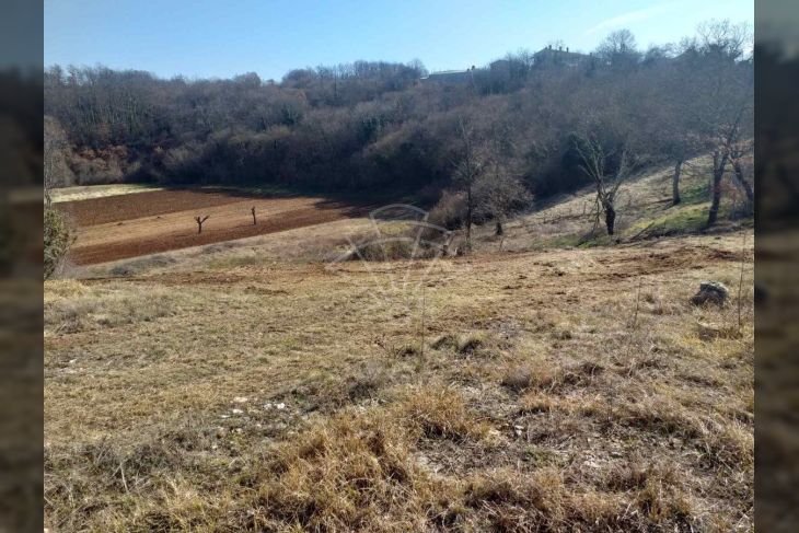 Građevinsko zemljište, Prodaja, Svetvinčenat, Bibići Građevinsko zemljište, Prodaja, Svetvinčenat, Bibići