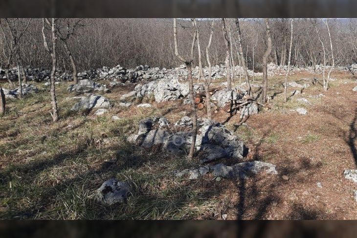 Poljoprivredno zemljište, Prodaja, Krk, Kornić Poljoprivredno zemljište, Prodaja, Krk, Kornić