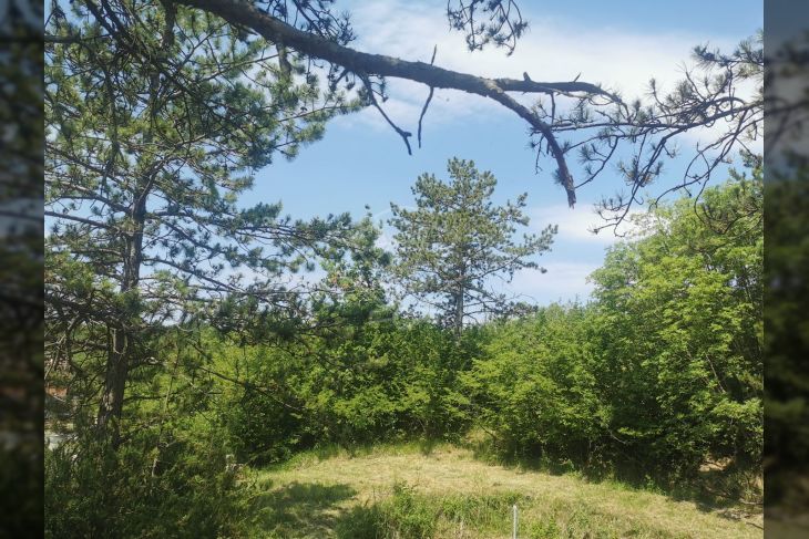 Poljoprivredno zemljište, Prodaja, Lupoglav, Lesišćina