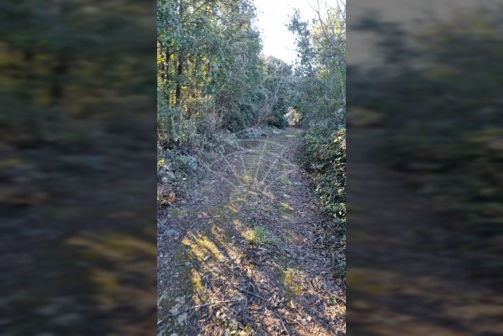 Poljoprivredno zemljište, Prodaja, Marčana, Kavran Poljoprivredno zemljište, Prodaja, Marčana, Kavran