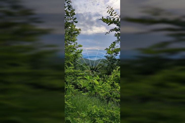 Građevinsko zemljište, Prodaja, Vinodolska općina, Grižane-Belgrad Građevinsko zemljište, Prodaja, Vinodolska općina, Grižane-Belgrad