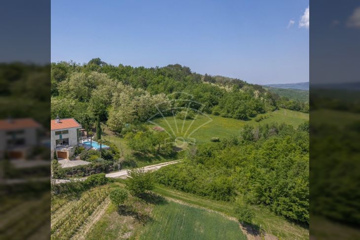 Poljoprivredno zemljište, Prodaja, Motovun, Brkač Poljoprivredno zemljište, Prodaja, Motovun, Brkač