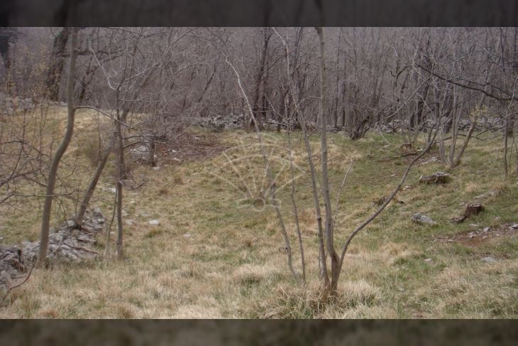 Poljoprivredno zemljište, Prodaja, Jelenje, Podhum