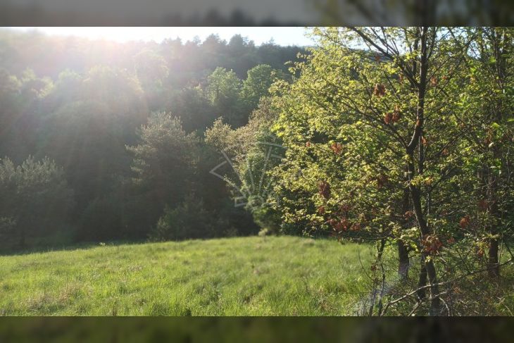 Poljoprivredno zemljište, Prodaja, Matulji, Šapjane Poljoprivredno zemljište, Prodaja, Matulji, Šapjane