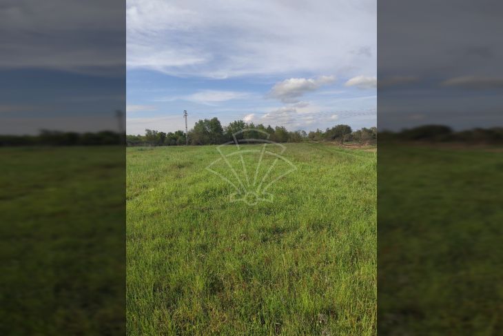 Agricultural plot, Sale, Ližnjan, Šišan