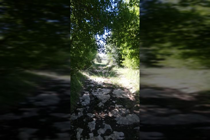 Zemljište - ostalo, Prodaja, Kanfanar, Jural Zemljište - ostalo, Prodaja, Kanfanar, Jural