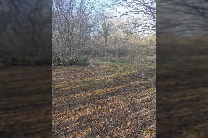 Poljoprivredno zemljište, Prodaja, Barban, Hrboki Poljoprivredno zemljište, Prodaja, Barban, Hrboki