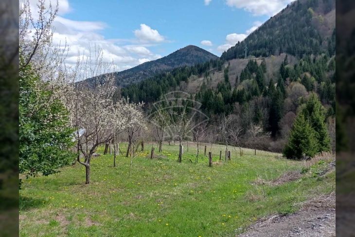 Samostojeća kuća, Prodaja, Ravna gora, Ravna Gora Samostojeća kuća, Prodaja, Ravna gora, Ravna Gora