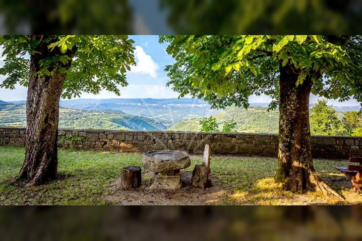 Poljoprivredno zemljište, Prodaja, Buzet, Sovinjak Poljoprivredno zemljište, Prodaja, Buzet, Sovinjak