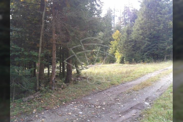 Poljoprivredno zemljište, Prodaja, Delnice, Lučice Poljoprivredno zemljište, Prodaja, Delnice, Lučice
