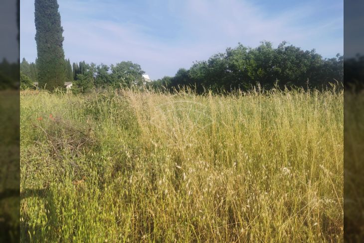 Građevinsko zemljište, Prodaja, Vodnjan, Galižana Građevinsko zemljište, Prodaja, Vodnjan, Galižana