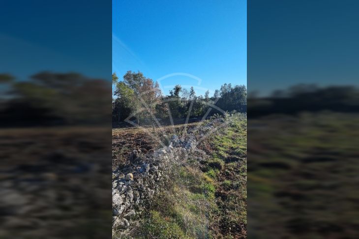Poljoprivredno zemljište, Prodaja, Marčana, Kavran Poljoprivredno zemljište, Prodaja, Marčana, Kavran