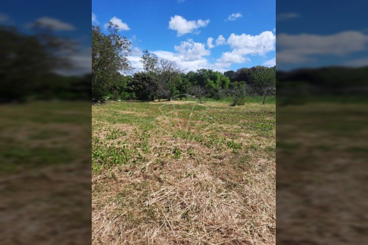 Poljoprivredno zemljište, Prodaja, Pula, Pula Poljoprivredno zemljište, Prodaja, Pula, Pula