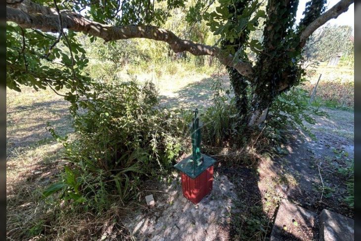 Poljoprivredno zemljište, Prodaja, Pula, Pula Poljoprivredno zemljište, Prodaja, Pula, Pula