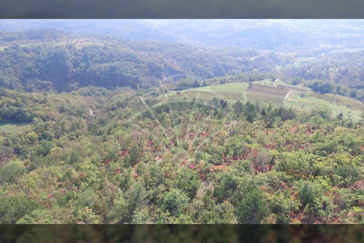 Poljoprivredno zemljište, Prodaja, Cerovlje, Draguć Poljoprivredno zemljište, Prodaja, Cerovlje, Draguć