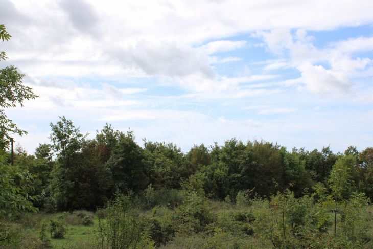 Građevinsko zemljište, Prodaja, Žminj, Žminj Građevinsko zemljište, Prodaja, Žminj, Žminj