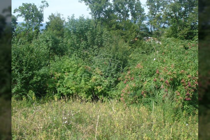 Građevinsko, Prodaja, Čavle, Čavle Građevinsko, Prodaja, Čavle, Čavle