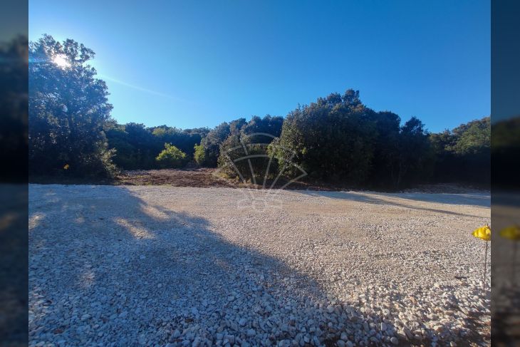 Šuma, Prodaja, Marčana, Kavran Šuma, Prodaja, Marčana, Kavran