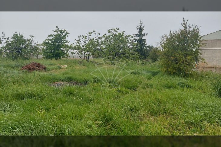 Građevinsko stambeno zemljište, Prodaja, Poreč, Poreč Građevinsko stambeno zemljište, Prodaja, Poreč, Poreč