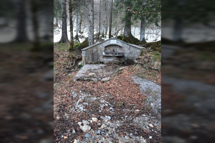 Poljoprivredno zemljište, Prodaja, Čabar, Gerovo Poljoprivredno zemljište, Prodaja, Čabar, Gerovo