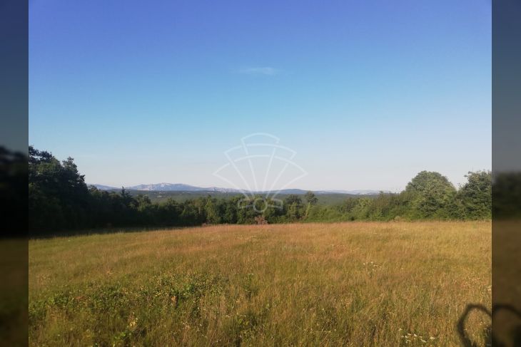 Poljoprivredno zemljište, Prodaja, Višnjan, Prhati Poljoprivredno zemljište, Prodaja, Višnjan, Prhati
