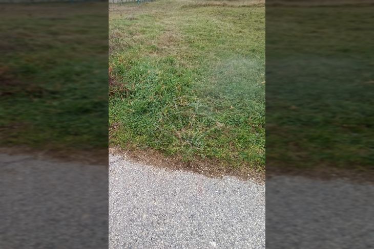 Poljoprivredno zemljište, Prodaja, Vodnjan, Vodnjan Poljoprivredno zemljište, Prodaja, Vodnjan, Vodnjan