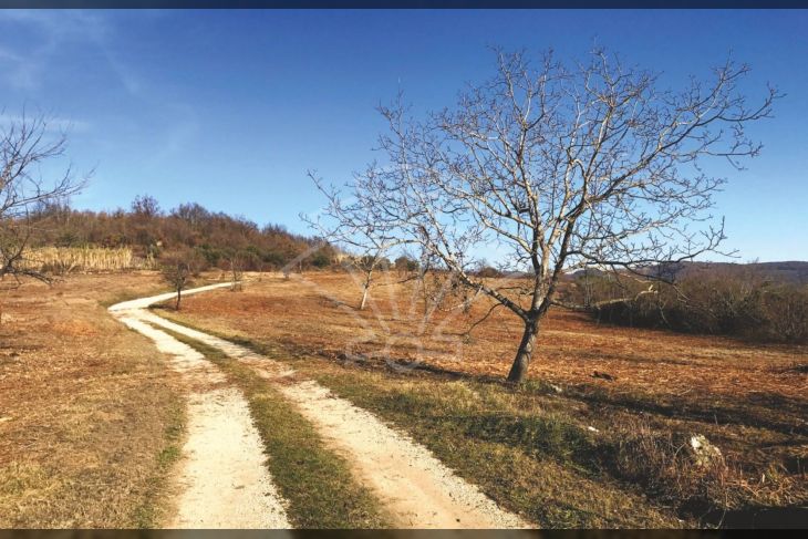 Zemljište - ostalo, Prodaja, Grožnjan, Grožnjan Zemljište - ostalo, Prodaja, Grožnjan, Grožnjan