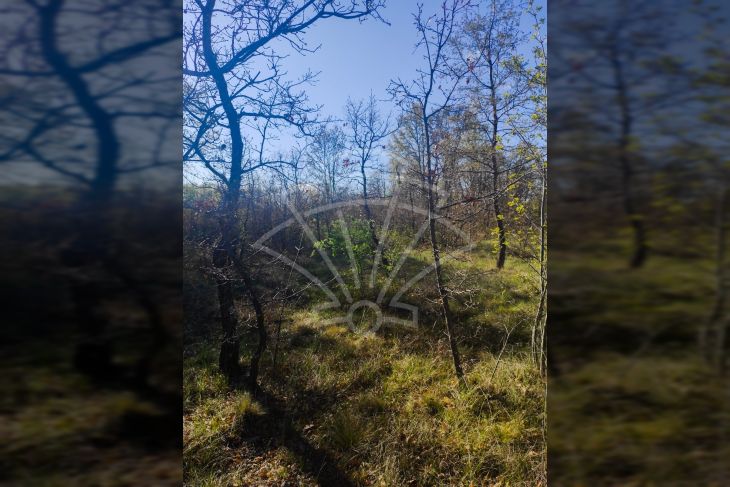 Građevinsko mješovito, Prodaja, Svetvinčenat, Boškari Građevinsko mješovito, Prodaja, Svetvinčenat, Boškari