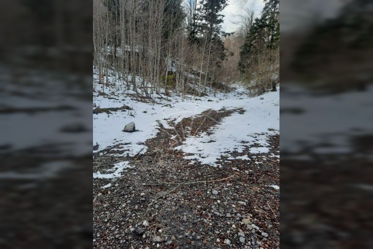 Poljoprivredno zemljište, Prodaja, Čabar, Gerovo Poljoprivredno zemljište, Prodaja, Čabar, Gerovo