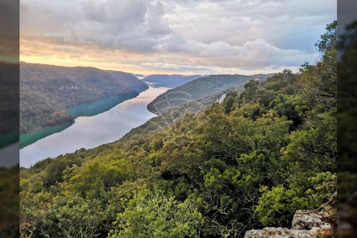 Poljoprivredno zemljište, Prodaja, Sveti Lovreč, Krunčići Poljoprivredno zemljište, Prodaja, Sveti Lovreč, Krunčići