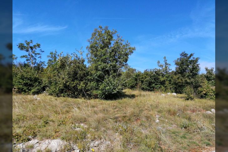 Građevinsko zemljište, Prodaja, Bakar, Kukuljanovo Građevinsko zemljište, Prodaja, Bakar, Kukuljanovo