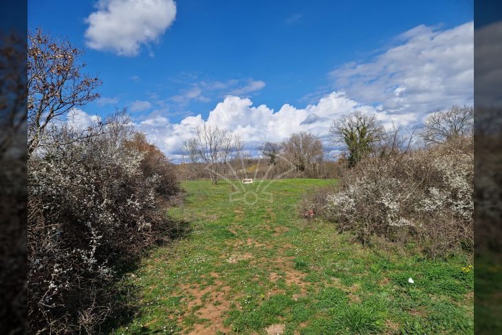 Građevinsko zemljište, Prodaja, Barban, Manjadvorci