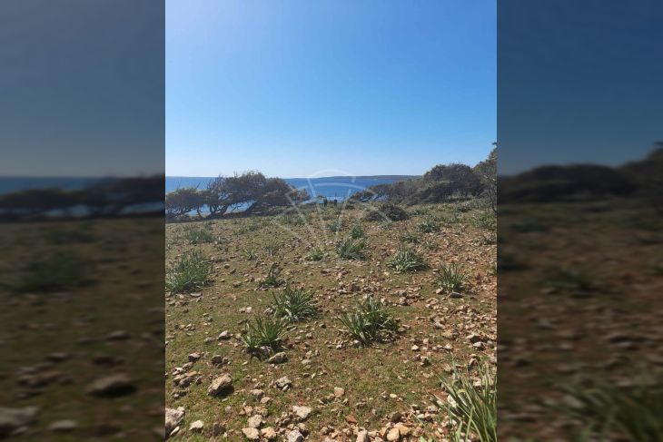 Šuma, Prodaja, Mali Lošinj, Belej Šuma, Prodaja, Mali Lošinj, Belej