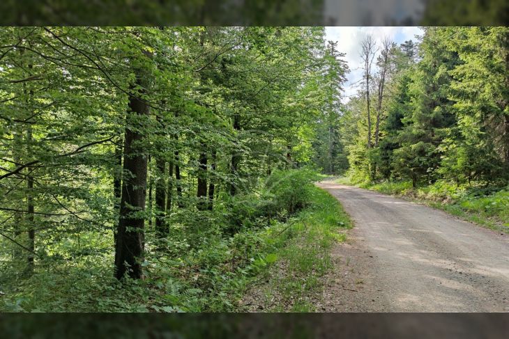 Poljoprivredno zemljište, Prodaja, Fužine, Fužine Poljoprivredno zemljište, Prodaja, Fužine, Fužine
