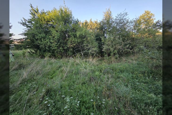 Građevinsko zemljište, Prodaja, Čavle, Čavle