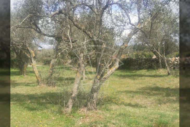 Poljoprivredno zemljište, Prodaja, Fažana, Fažana Poljoprivredno zemljište, Prodaja, Fažana, Fažana