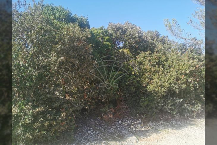Poljoprivredno zemljište, Prodaja, Marčana, Marčana Poljoprivredno zemljište, Prodaja, Marčana, Marčana