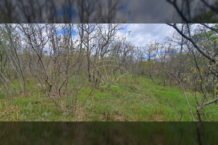 Građevinsko zemljište, Prodaja, Bakar, Krasica