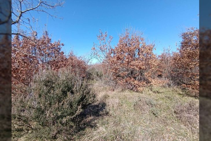 Poljoprivredno zemljište, Prodaja, Vodnjan, Gajana Poljoprivredno zemljište, Prodaja, Vodnjan, Gajana