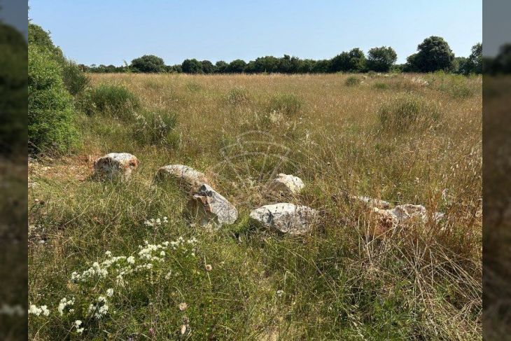 Poljoprivredno zemljište, Prodaja, Ližnjan, Šišan