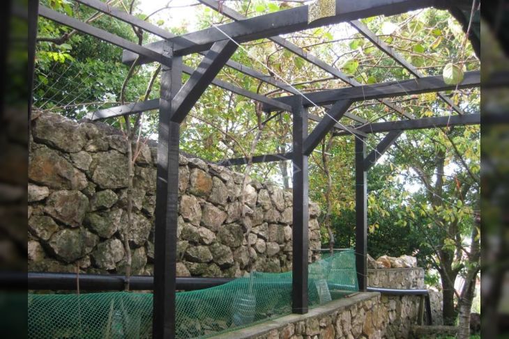 Samostojeća kuća, Prodaja, Čavle, Cernik Samostojeća kuća, Prodaja, Čavle, Cernik