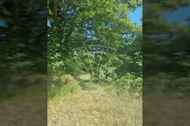 Građevinsko zemljište, Prodaja, Svetvinčenat, Režanci Građevinsko zemljište, Prodaja, Svetvinčenat, Režanci